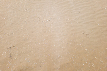 Nice background of sand on the beach