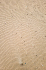 Nice background of sand on the beach