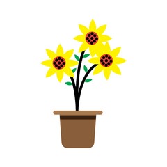 sunflower plant vector