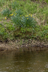 Broughshane Riverside walk and wildfowl park, Broughshane village, Ballymena, County Antrim, Northern Ireland