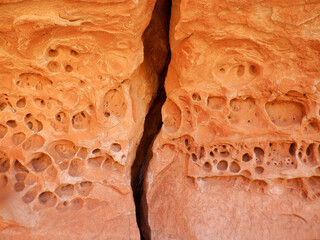 Strange pockmarked eroded Sandstone wall in the Bears Ears wilderness area of Southern Utah.  