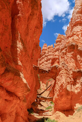 bridge between pink cliffs