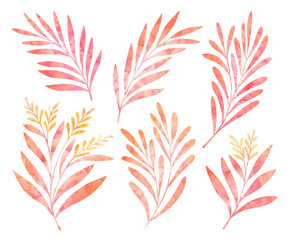 Digital botanical elements. Set of isolated hand drawn leaves and plants. Illustration ornaments for invitation, wallpaper, print design.