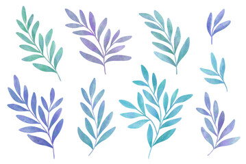 Set of digital floral elements. Hand drawn leaves isolated. Botanical illustration for decoration, print design.