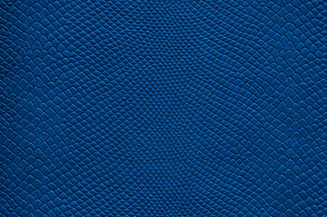 Plakat Beautiful bright eco-leather, animal skin texture in blue color, close-up as a background.