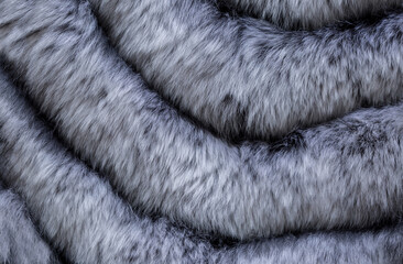 Animal fur close up. Background of gray sable and red fox or chinchilla wool, pile fur texture.