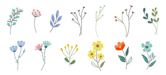 Collection of colorful floral elements in flat color. Set of spring and summer wild flowers, plants, branches, leaves and herb for decor, website, graphic and shop.