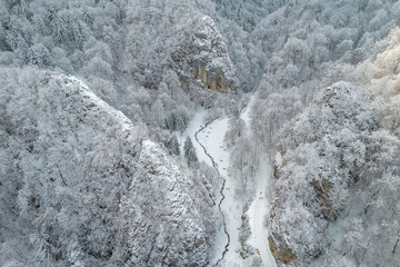 Aerial view of a frozen forest and stream of water