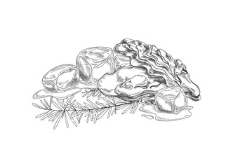 Seafood dish serving with oyster, ice cubes and rosemary fresh herb - sketch vector illustration isolated on white.