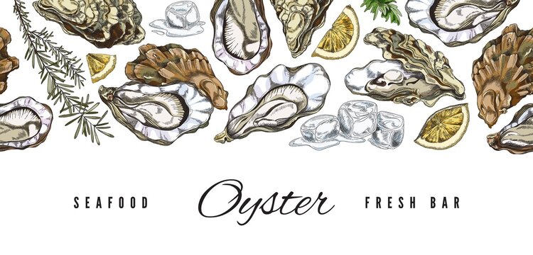 Seafood fresh bar advertising banner with oyster shells, lemon and ice cubes - colored sketch vector illustration.