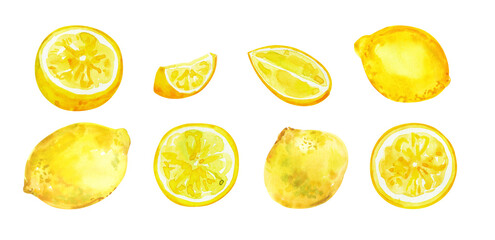 Watercolor hand painted citrus lemon fruits. Watercolor hand drawn illustration isolated on white background, aromatherapy, essential oils