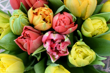 Beautiful peony multi-colored spring tulips are sold at the flower market on March 8