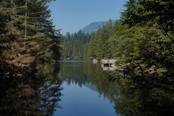 ライス湖　ライスレイク　ノースバンクーバー　観光　湖　Lynn Canyon Park　リンキャニオンパーク　カナダ　バンクーバー