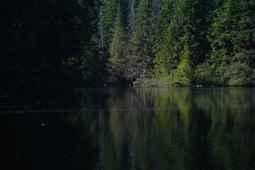 暗い森　怖い　陰鬱な　北米　湖　静かな　不気味な