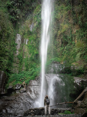 Fototapeta premium waterfall in the forest