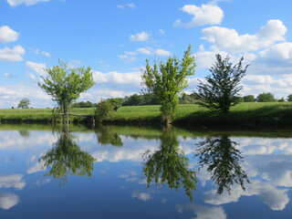 Fototapeta na wymiar Trois arbres au feuillage vert au bord d'un lac se reflétant dans l'eau en été