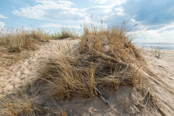 Dunes by the Baltic Sea with sand and grass. Carnikava, Latvia.