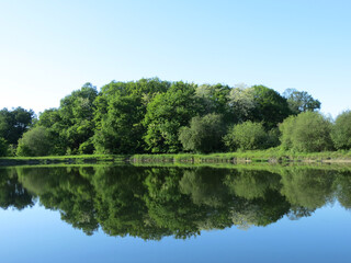 Fototapeta na wymiar Bosquet de chêne au feuillage vert se reflétant dans un lac en été