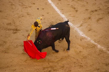 Rolgordijnen Matador in a bullfight © Matt