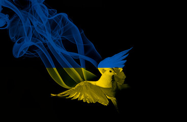 ukraine crisis concept with peace dove in ukraine flag colors