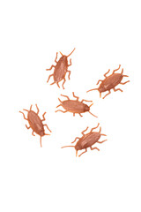 halloween decor plastic toy cockroaches