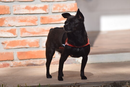c&atilde;o de estima&ccedil;&atilde;o
