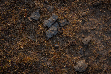 pile of ground