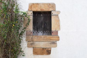Invasion of vegetation next to a nice rural window