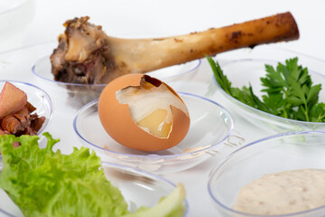 Seder Plate egg close-up with shank bone on transparent plate with white background