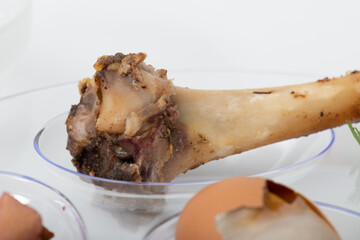 Seder Plate shank bone close-up on transparent plate with white background