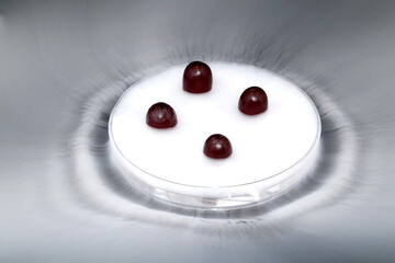 Grapes served in a plate of cold steam