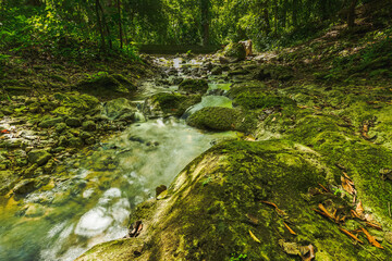 Mountain stream waves in tropical jungle sunny day. Beautiful painting on wall