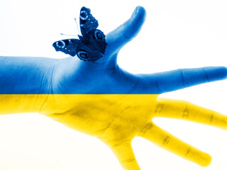 ukraine crisis concept  in ukraine flag colors