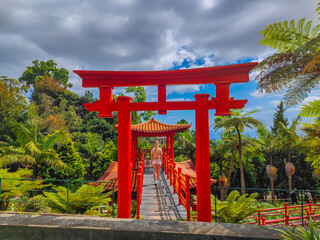 Japanese garden in Monte Palace Tropical Gardens in Madeira, Funchal