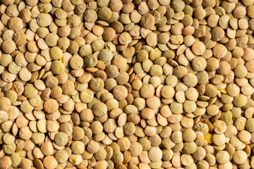 Uncooked brown lentils. Raw legume.