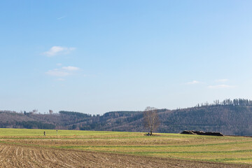 Acker im Frühjahr