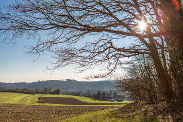 Blick aufs Feld im März