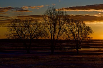 Fototapeta premium Sunrise in South East City Park, Canyon, Texas, Winter of 2021.