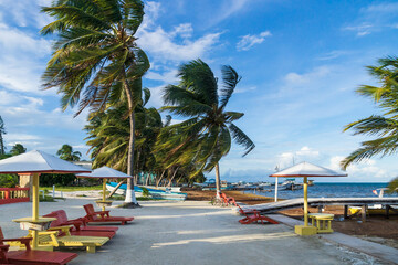 Beach idyll with palm trees at the island Caye Caulker, Belize