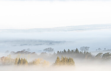 Obraz na płótnie Canvas Misty rural Northumberland landscape in winter