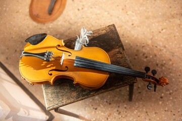 Violin with feather