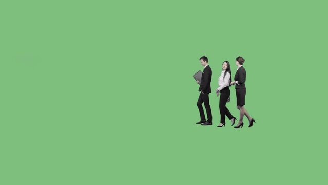 Office workers in business clothes walk through the frame and talk. Transparent background (PNG+Alpha)
