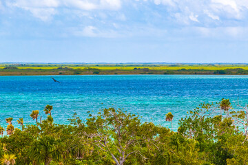 Muyil Lagoon panorama view in tropical jungle of amazing Mexico.