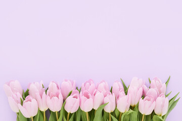 Border of pink tulips on a lilac background. Mothers Day, Valentines Day, birthday concept