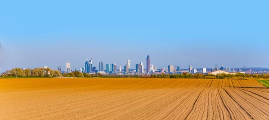 Blick über Hektar auf die Skyline von Frankfurt © travelview