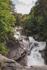 Obraz premium waterfall in the forest