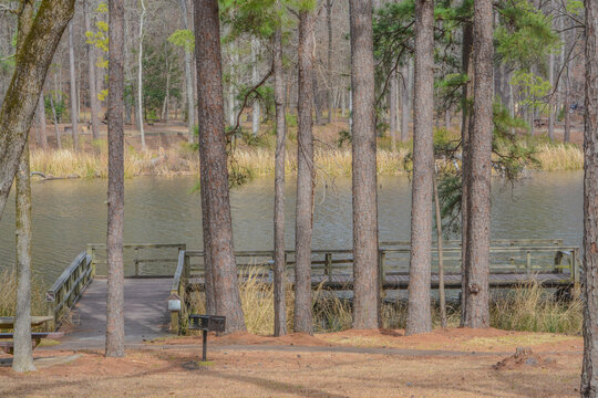 The Fishing Pier In Ratciff Lake Recreation Area. In Davey Crockett National Forest, Ratcliff, Texas