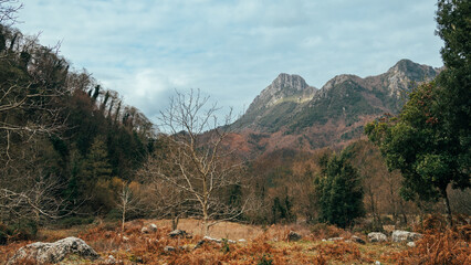 Cloudy Day in the Mountains