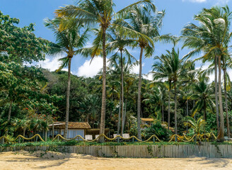 Fototapeta na wymiar Parte da orla da Praia dos Espelhos, também conhecida como Caruípe no povoado de Caraíva, Bahia, com muitas construções e coqueiros.