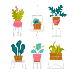A set of trendy potted plants and flowers for the home. Various houseplants and flowers in stands isolated on white background. Monstera, cactus, strelitzia and oxalis. Color flat vector illustration.